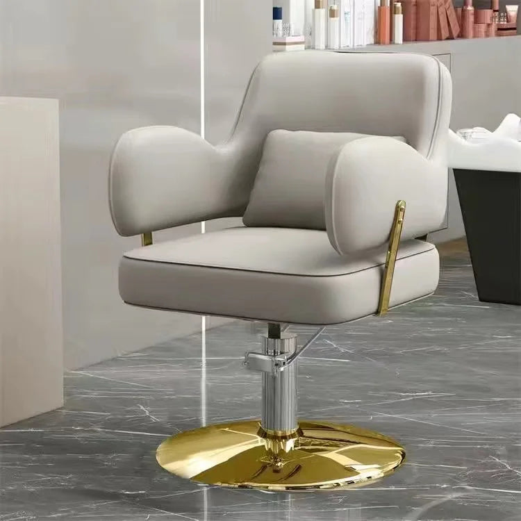 Chaise de salon Premium Minimaliste